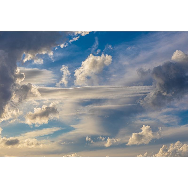 Beautiful Sky View Murals Stain-Resistant Wall Covering for Sitting Room