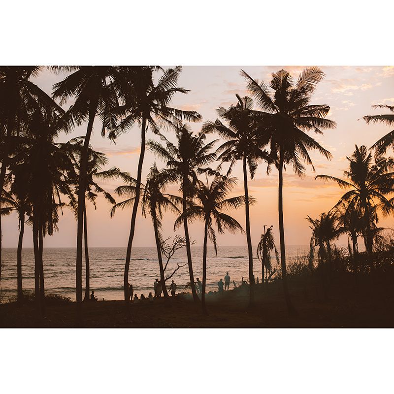 Photography Stain Resistant Wallpaper Tropical Scenery Living Room Wall Mural