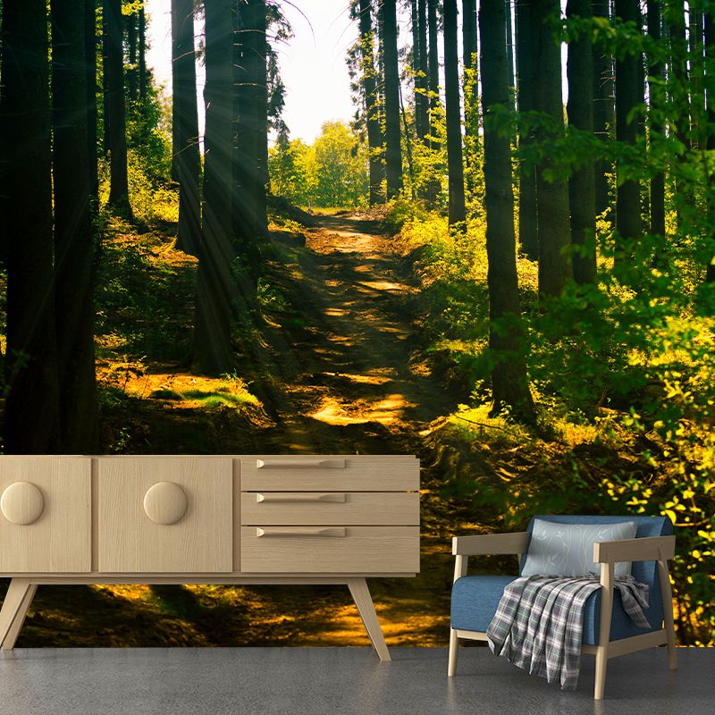 Forest Scenery Wall Mural Modern Home Decor for Sitting Room, Water Resistant