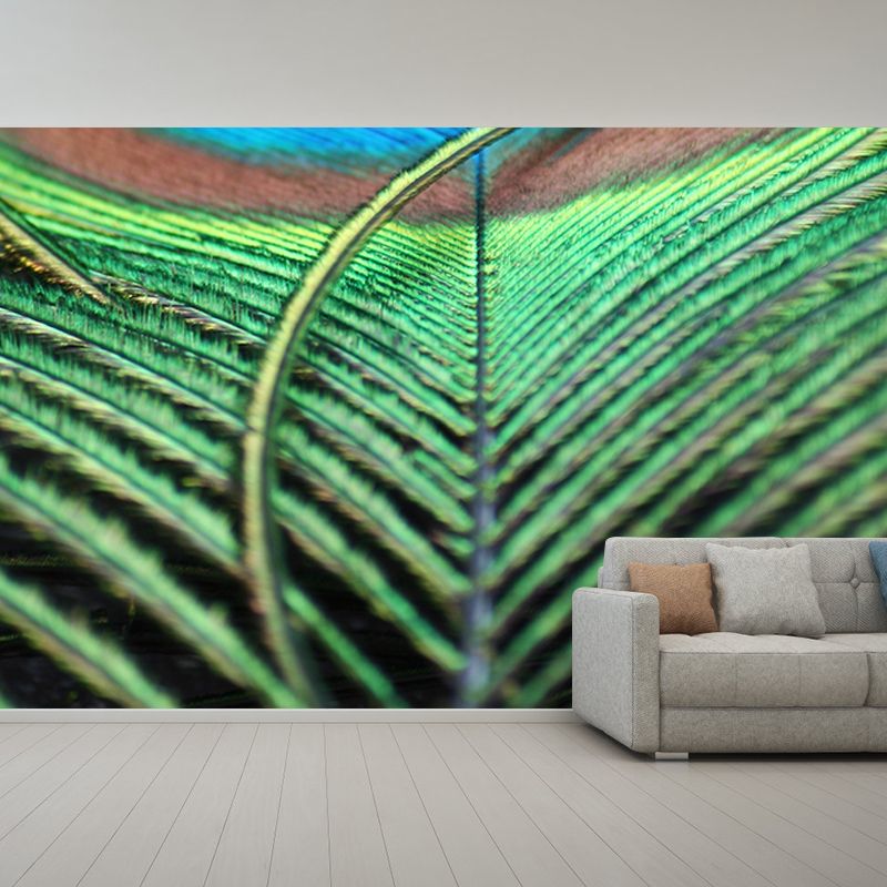 Peacock Feather Wallpaper Murals for Bedroom Water Resistant, Personalised Size