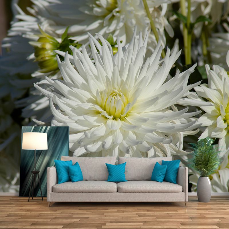 Bright Chrysanthemum Mural for Modern Living Room, Custom Size Available