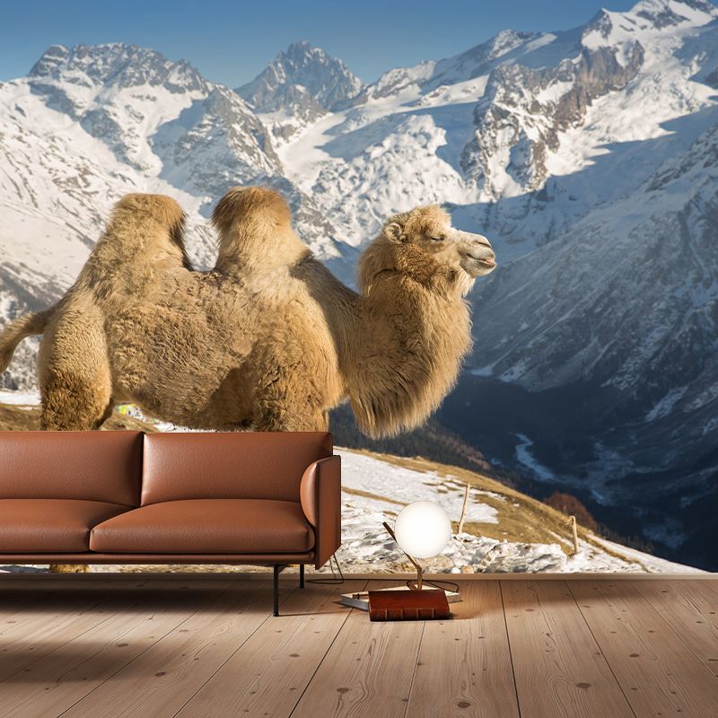 Camel and Desert Stain Resistant Mural Decal Modern Wall Decor for Gust Room