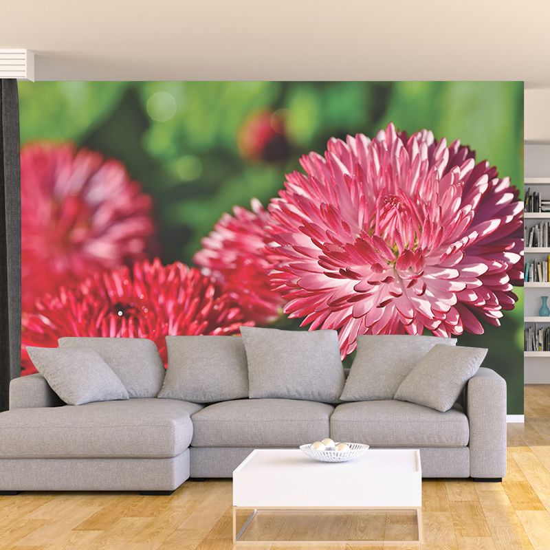 Dahlia Flower Wallpaper Mural Waterproofing
Living Room Wall Decoration