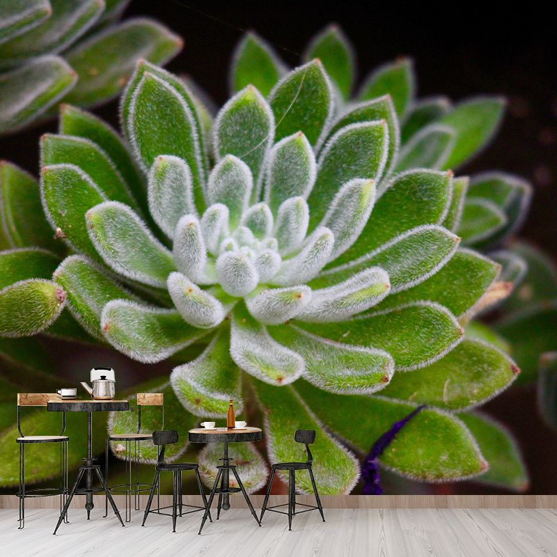 Indoor Decoration Plants Wall Mural for Living Room Bedroom, Made to Measure