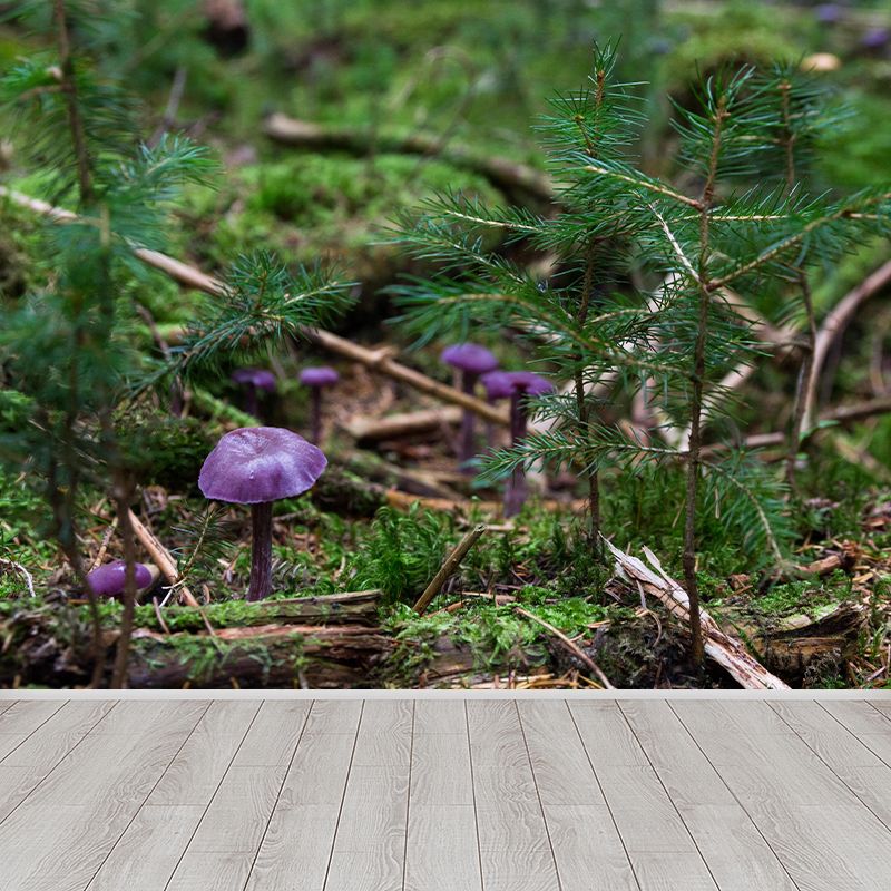 Modernist Mushroom Plant Wall Mural Decal Photography Stain Resistant for Kitchen