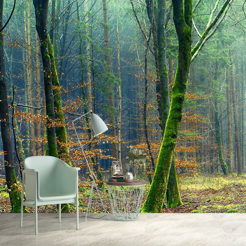 Home Environmental Wallpaper Forest Living Room Resistant Photography Wall Mural