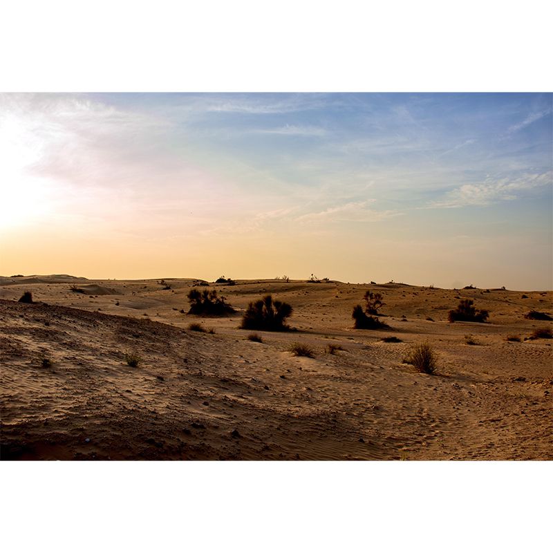 Soft Color Desert Mural Decal Nature Scenery Modern Mildew Resistant Wall Art for Room