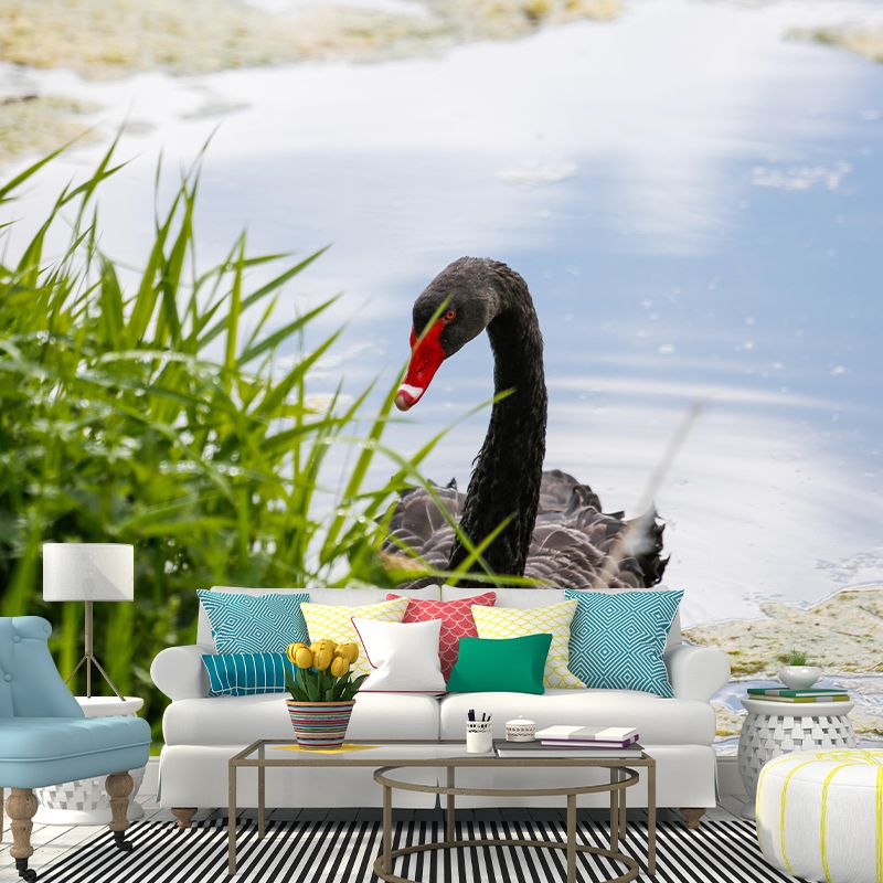 Customized Black Swan Wall Mural Contemporary Photography for Bedroom Living Room