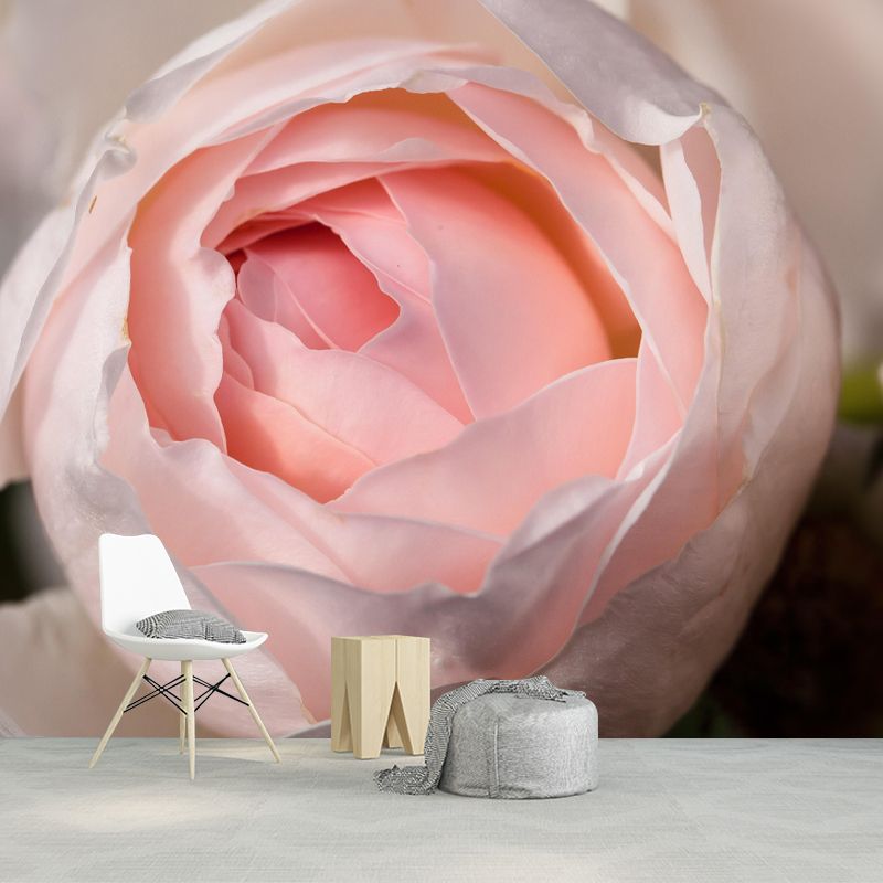 Horizontal Photography Rosaceae Wall Mural for Living Room Girls Bedroom