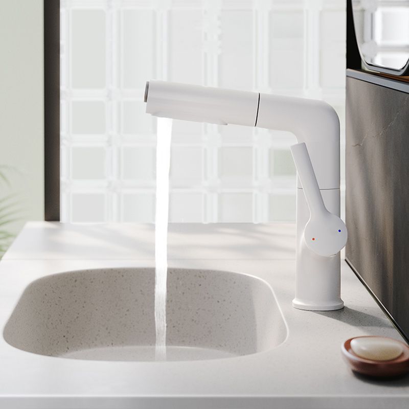 Swivel Spout Bathroom Sink Faucet with Lever Handle Vessel Sink Faucet