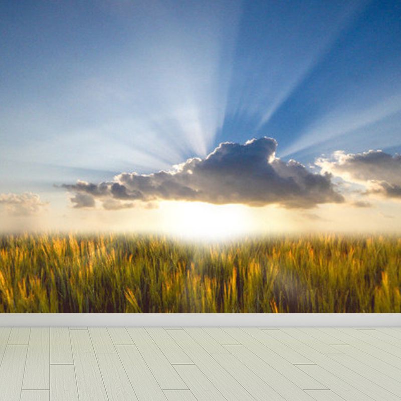 Stain-Proofing Sky View Wall Mural Non-Woven Cloth Contemporary Wall Art for Living Room