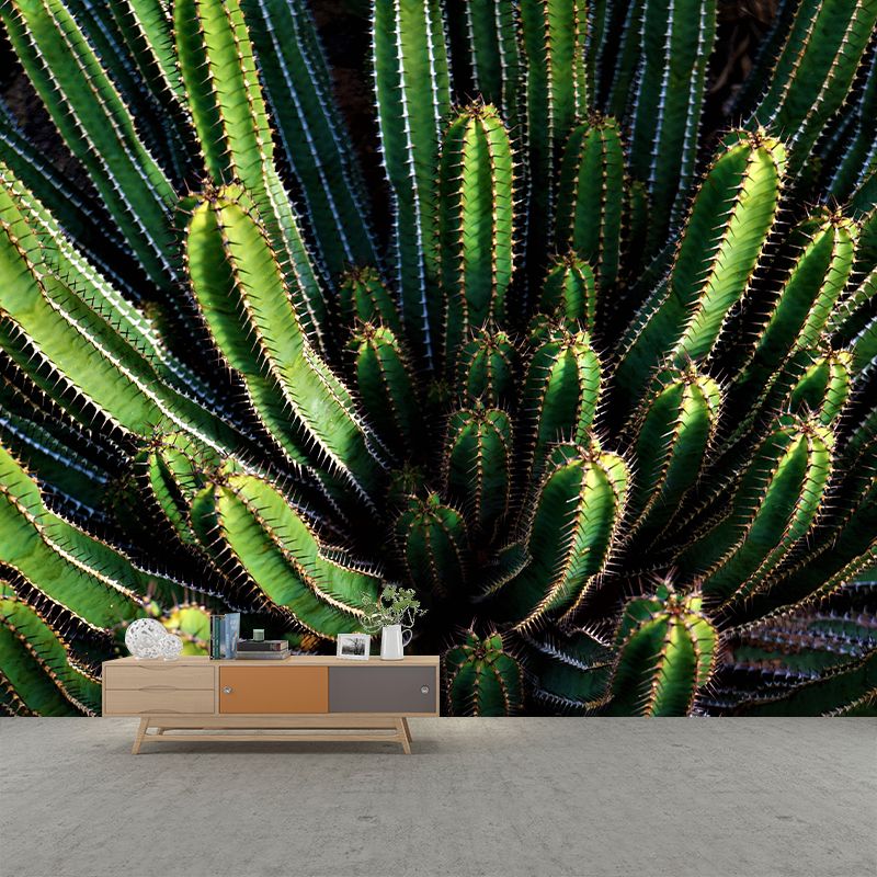 Tropical Plant Cactus Mural Wallpaper Contemporary Wall Covering for Study Room