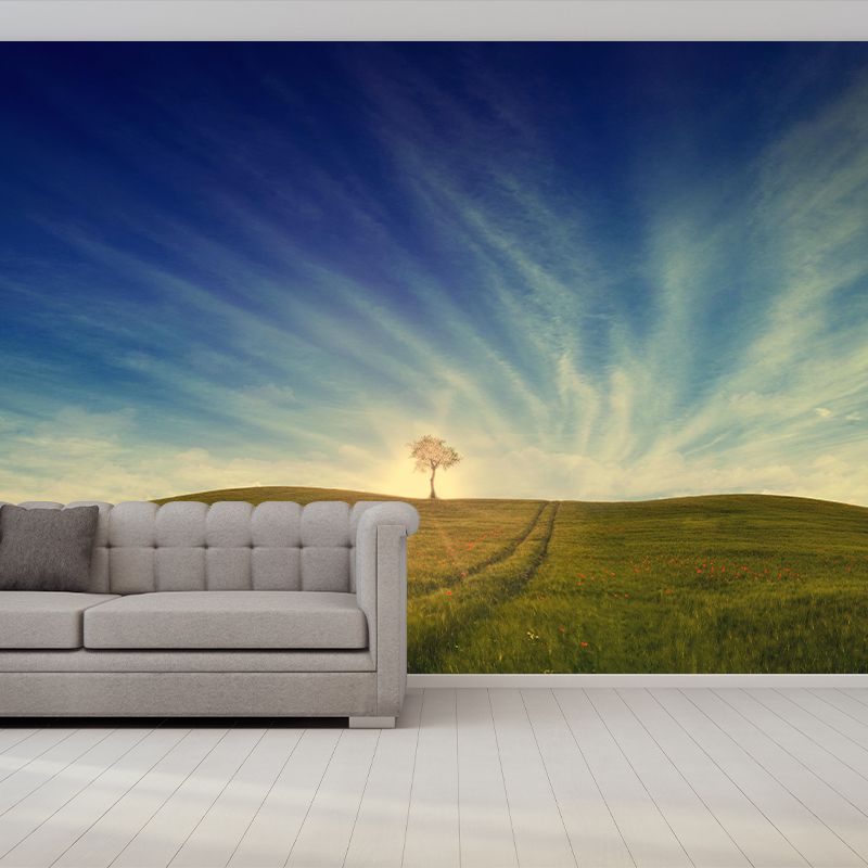Contemporary Photography Style Sky Mural Wallpaper Mildew Resistant Wall Covering