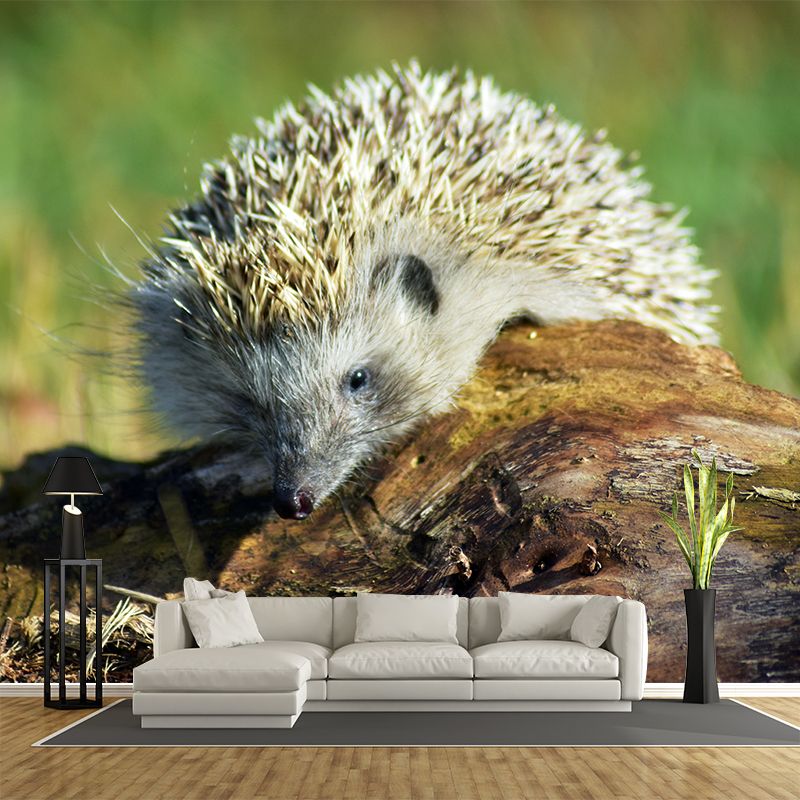 Photography Mural Wall Decor Hedgehog Mildew Resistant Living Room Wall Mural Wall Art