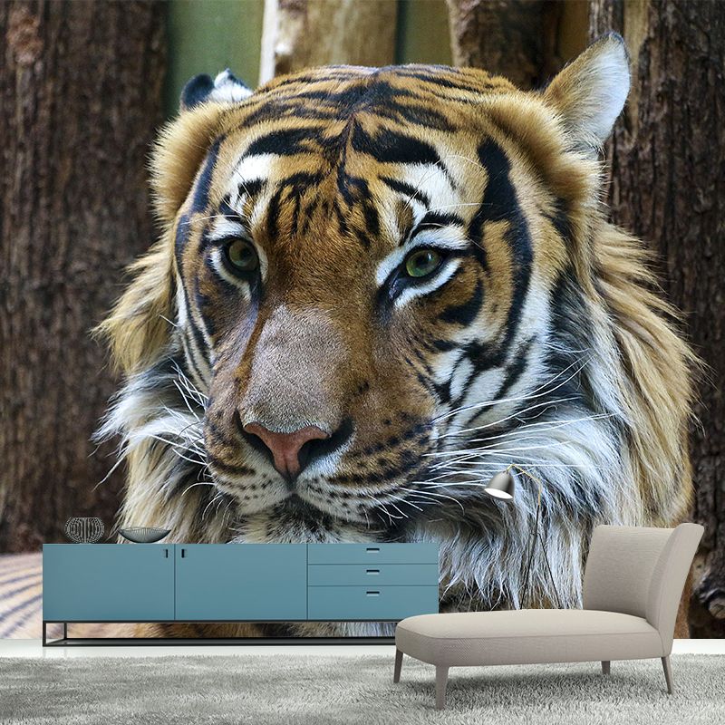 Cool Tiger Jungle Animal Mural Wallpaper Contemporary Wall Covering for Sitting Room