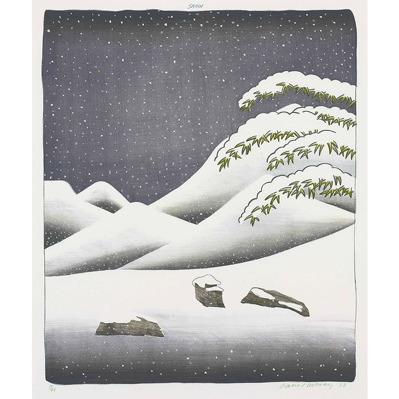 Art Snowing Mountain Landscape Murals Grey-Green Stain Resistant Wall Decor for Home