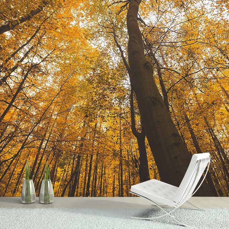 Modern Style Forest Wall Mural Wallpaper Photography Mildew Resistant for Wall Decor