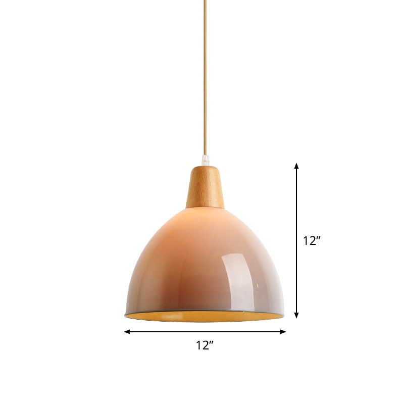 Acrylique en dôme de plafond suspendu moderniste 1 tête gris gris bouth suscitation pour le chevet
