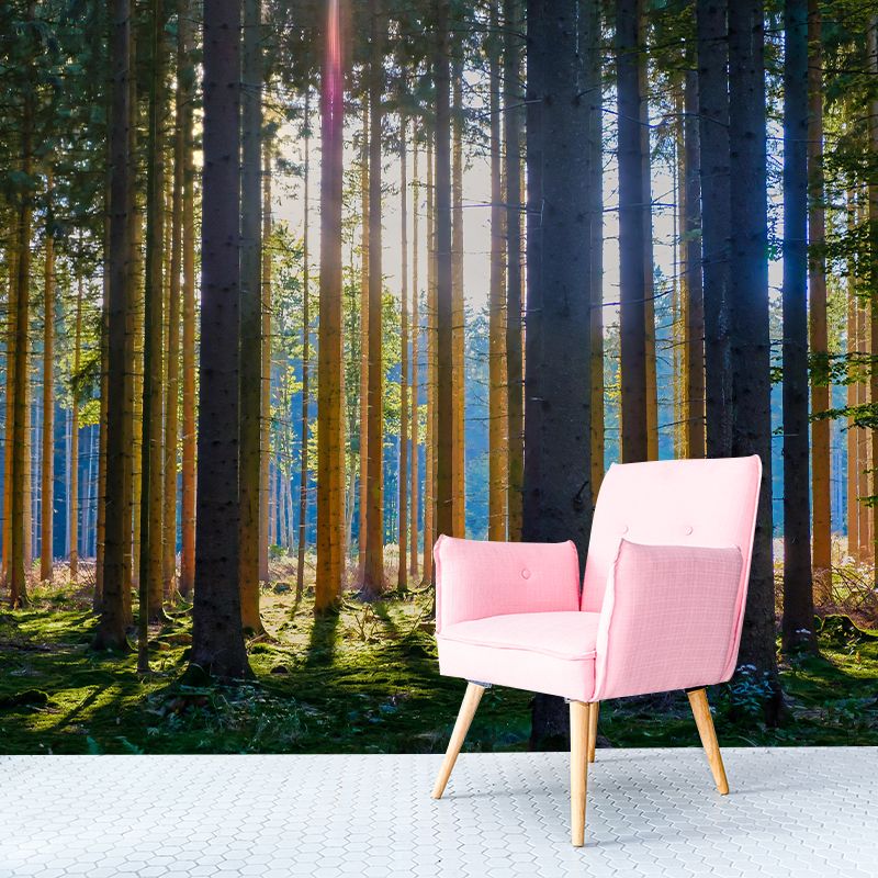 Forest Wall Mural Contemporary Photography Wall Covering for Wall Decor