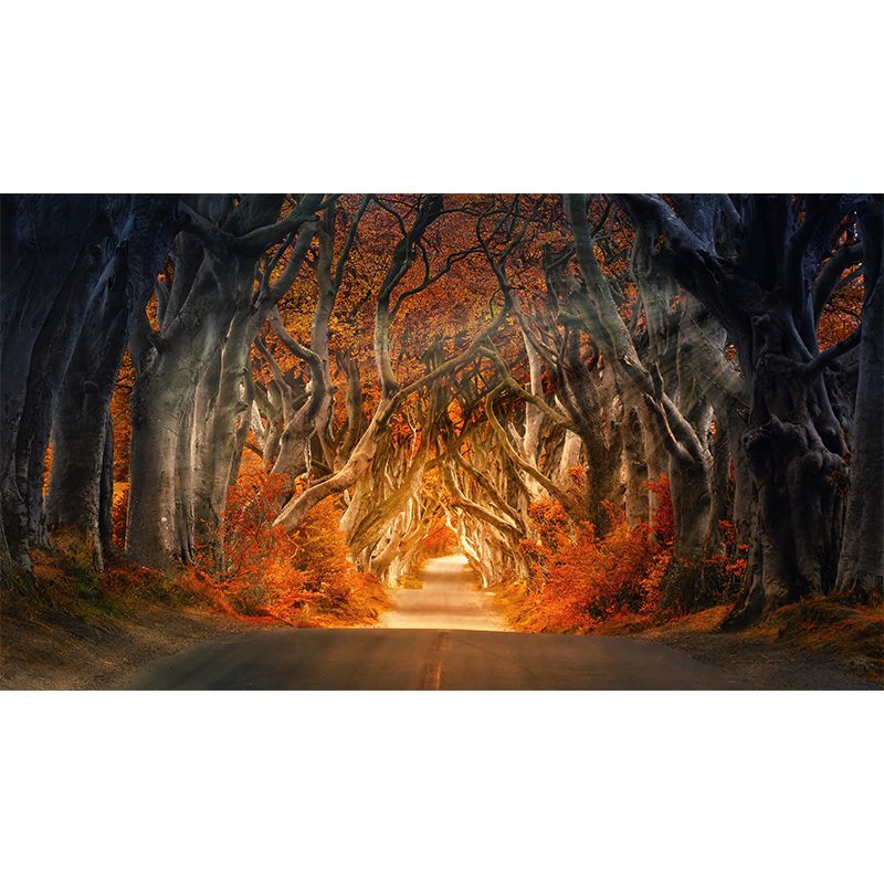 Autumn Forest Landscape Mural Moisture Resistant Modern Style Bedroom Wall Art