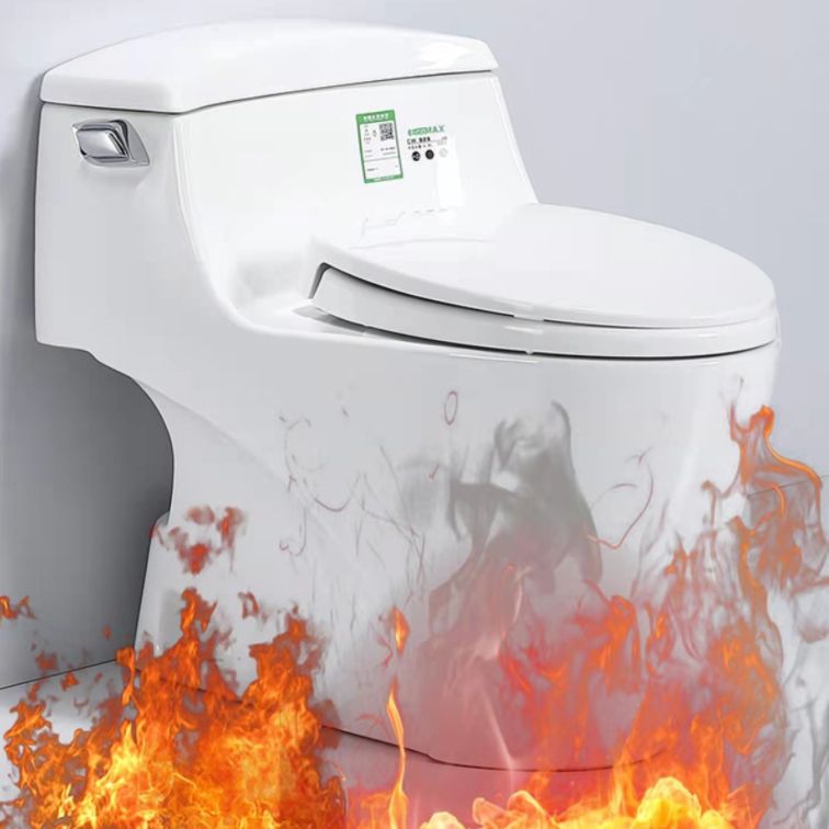 Traditional Ceramic Toilet Bowl One Piece Flush Toilet with Toilet Seat
