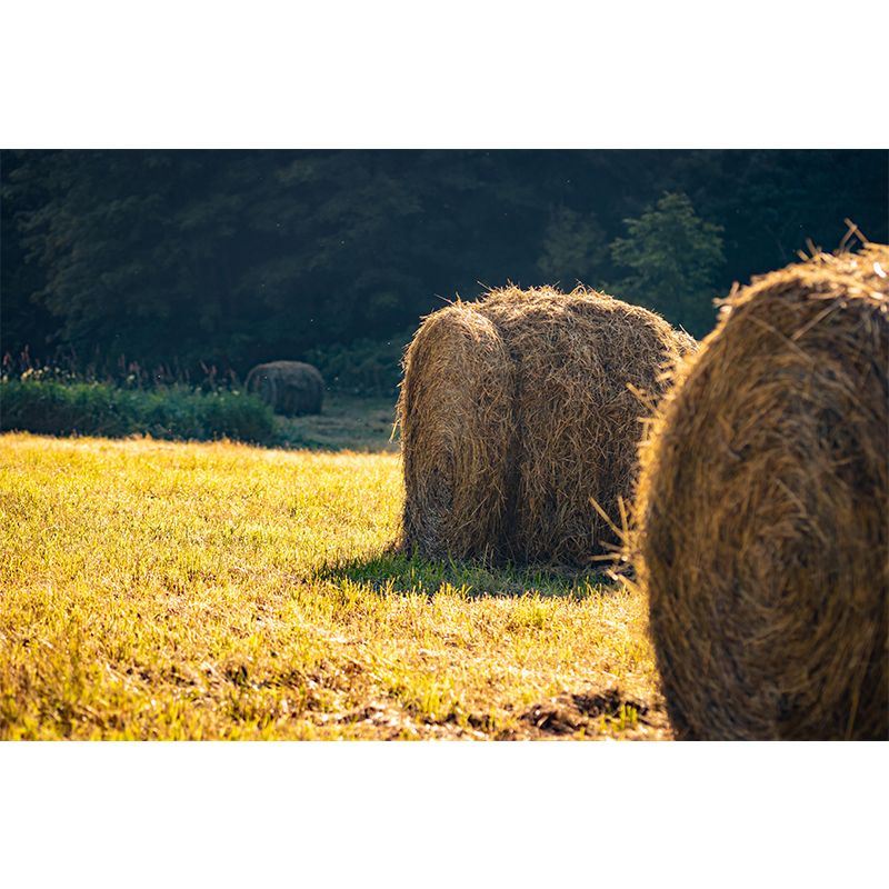 Customized Straw Bales Mural Environment Friendly Wallpaper for Accent Wall