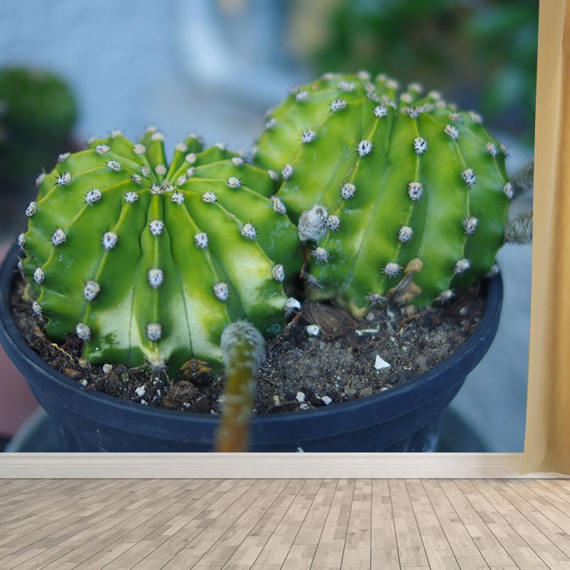 Customized Modern Plants Mural Wallpaper with Cactus Pattern Mildew Resistant