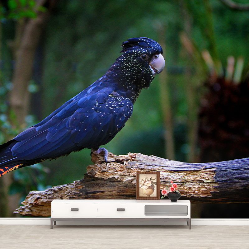 Parrot Animal Wall Mural for Living Room Bedroom Wall Art, Stain-Resistant