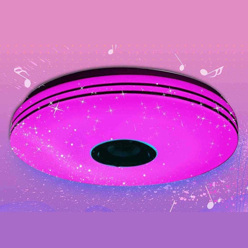 Flush Mount Ceiling Light Phone Control Light Bluetooth LED Light Bedroom Light
