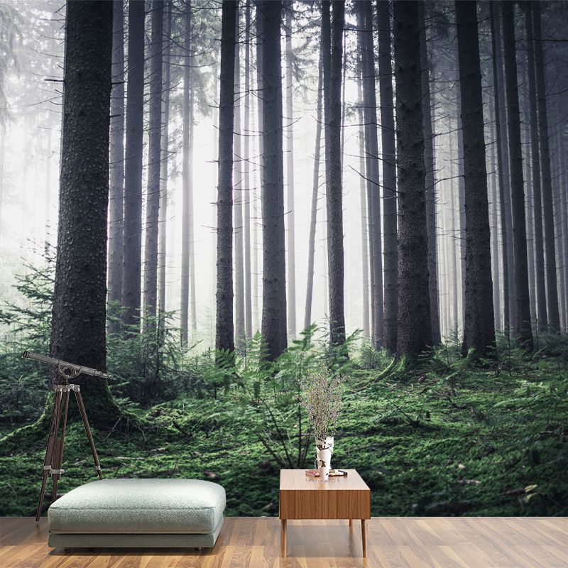Modern Forest Mural Decal Water Resistant Wall Covering for Home Interior Decoration