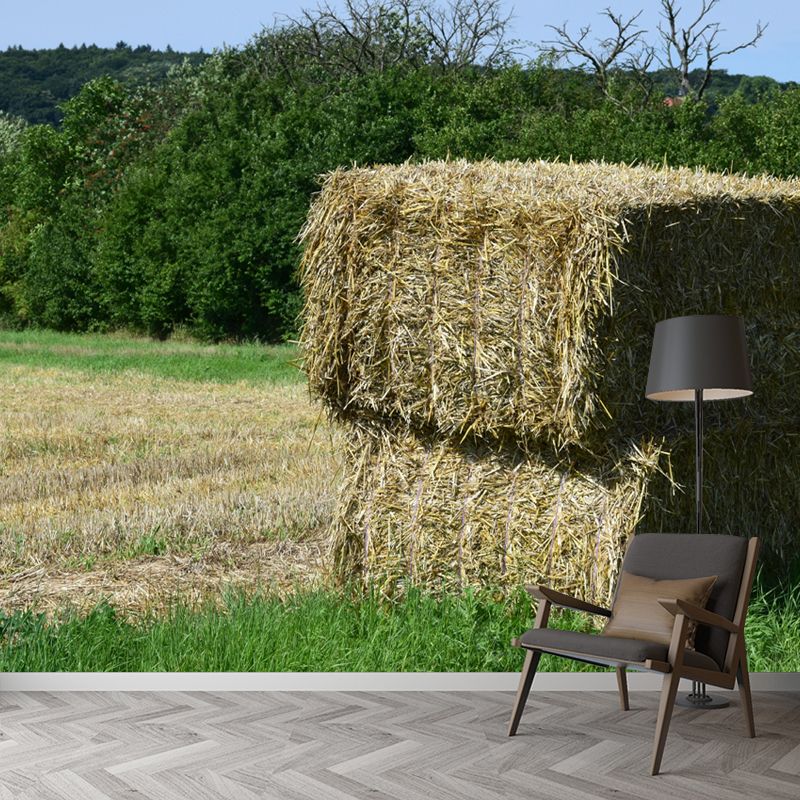 Photography Straw Bale Mural Wall Decor Mildew Resistant for Bedroom