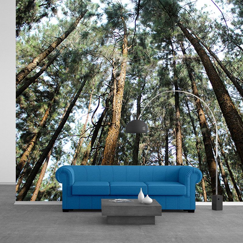 Contemporary Style Forest Mural Horizontal Photography Living Room Wall Mural