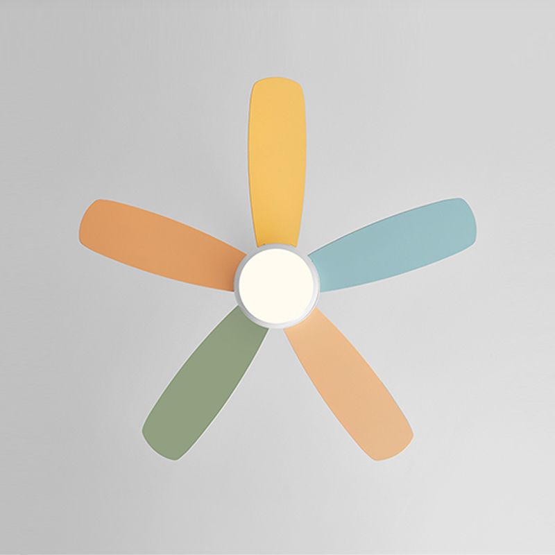 Contemporary Colorful Ceiling Fan Light Metal 1-Light LED Ceiling Fan for Bedroom