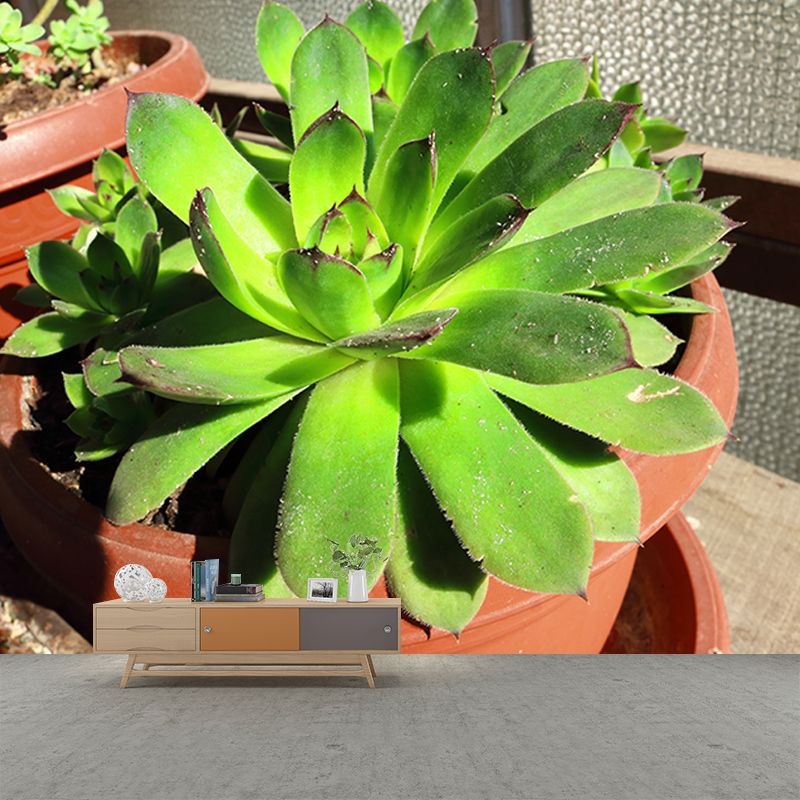 Rosette Plant Removable Wall Art Decor for Office Apartment, Moisture Resistant