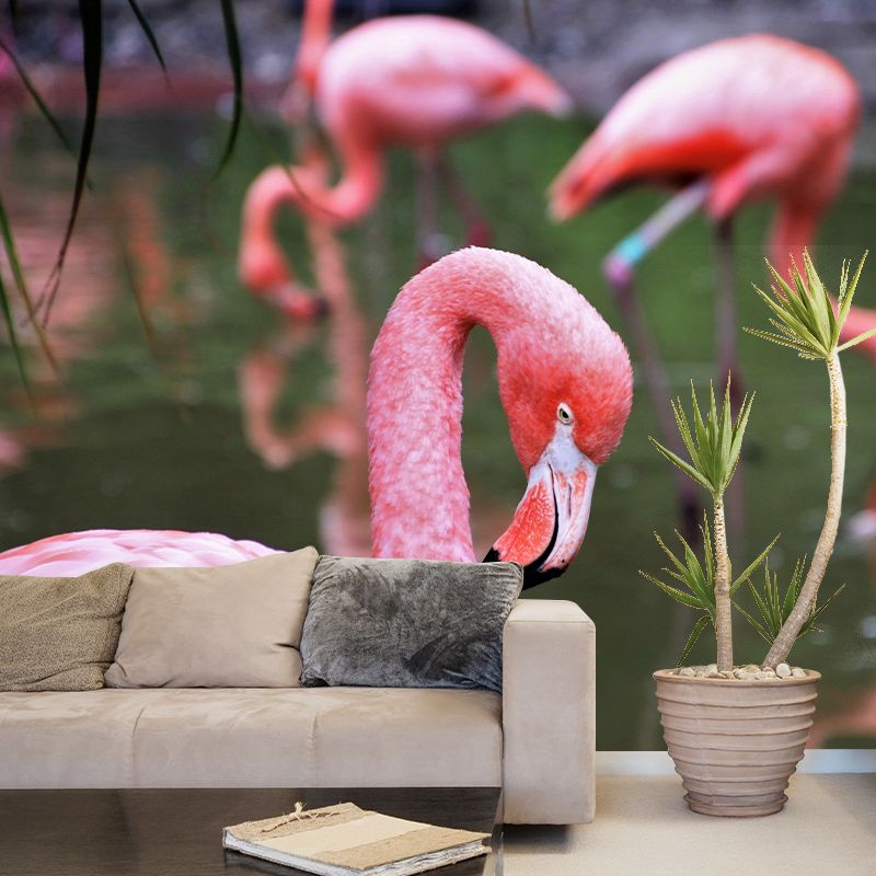 Tropical Flamingos Wall Mural Mildew Resistant Covering for Dining Room