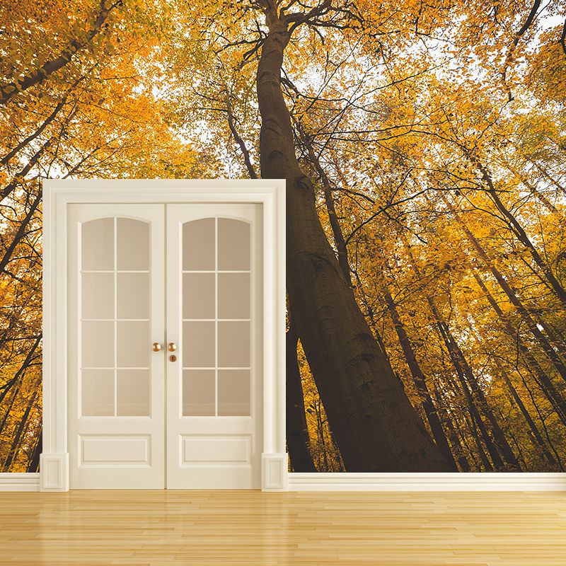 Modern Style Forest Wall Mural Wallpaper Photography Mildew Resistant for Wall Decor