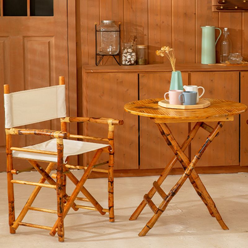 Tropical Rattan Armed Chairs Outdoors Dining Chairs with Arm