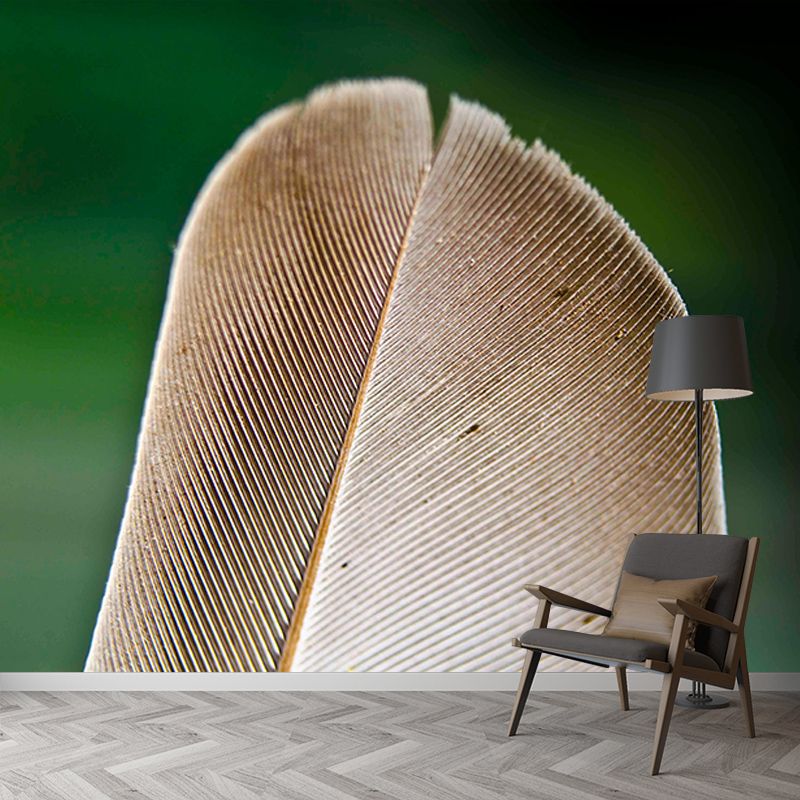 Feather Wall Mural Modern Style Mildew Resistant for Home Decor