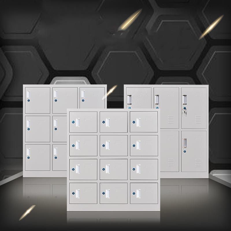 Indoor Non-Hanging Cabinet Contemporary Hinged Door Storage Cabinet