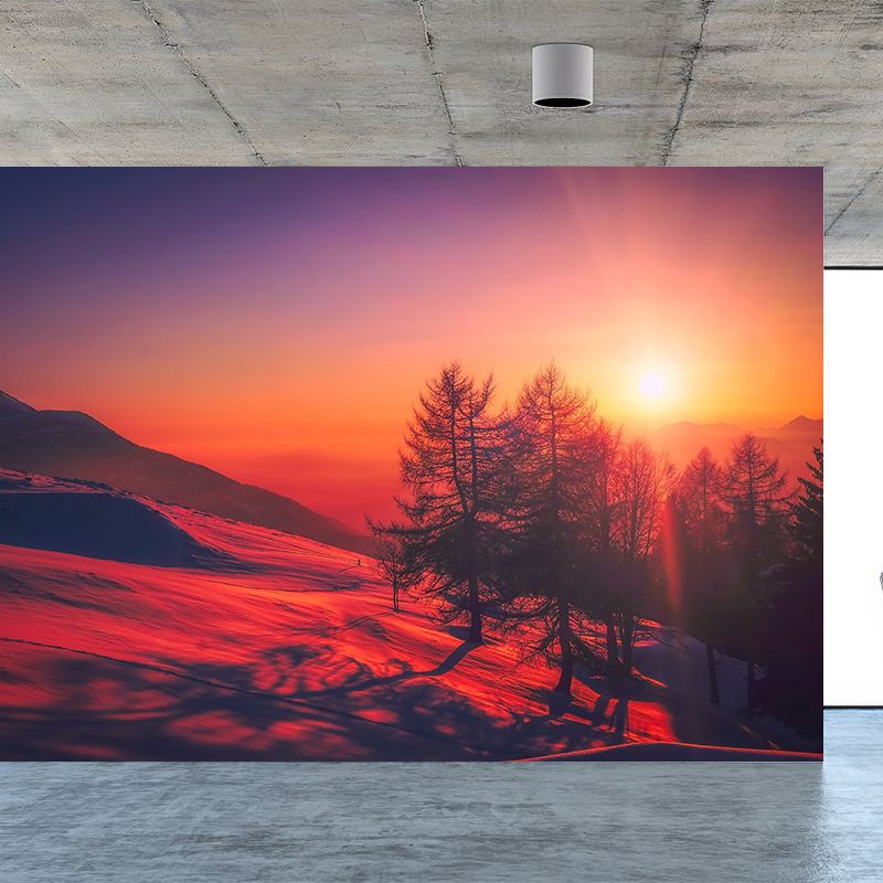 Evening Glow Photography Pattern Mildew Wall Mural Horizontalt for Living Room