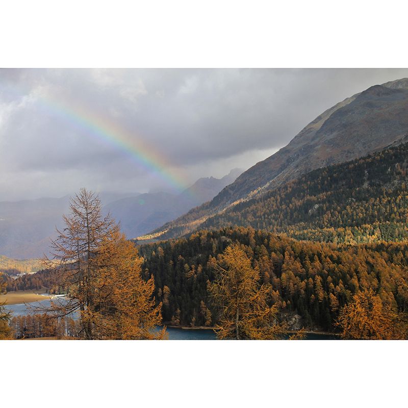 Huge Mountain Mural Wallpaper Mildew Resistant Sitting Room Decoration