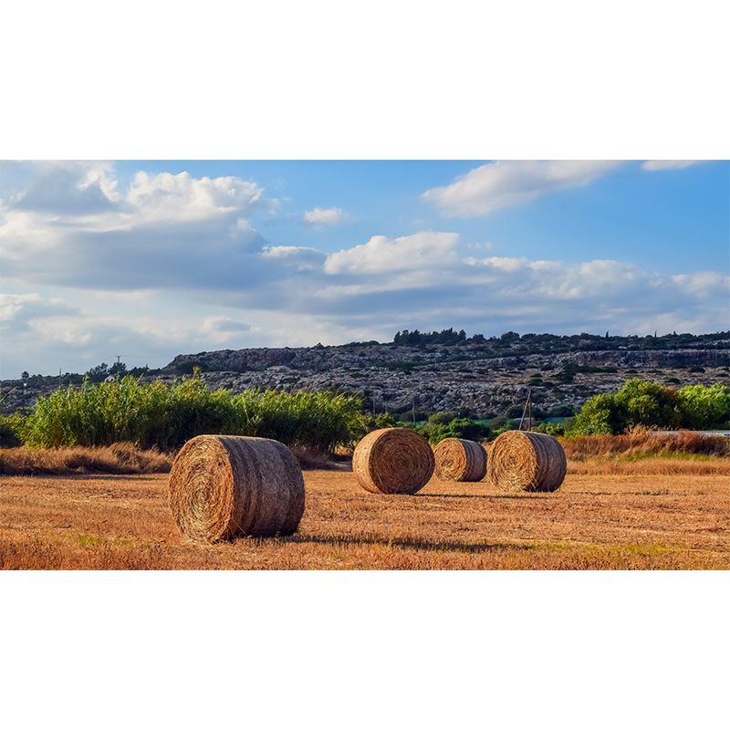 Customized Straw Bale Mural Decal Wall Decor Mildew Resistant for Living Room