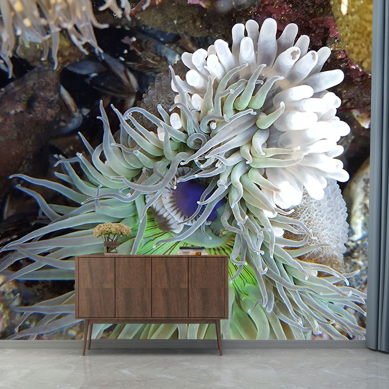 Sea Creatures Mural Personalized Size Wall Covering for Sleeping Room Home Decor