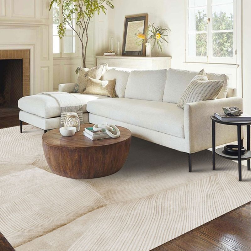Simplicity Area Carpet Modern Indoor Rug Polyester Stain Resistant Area Rug for Living Room