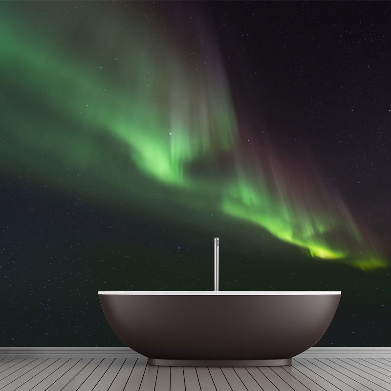 Polar Light Print Wall Mural Contemporary Non-Woven Wall Decor in Green on Black