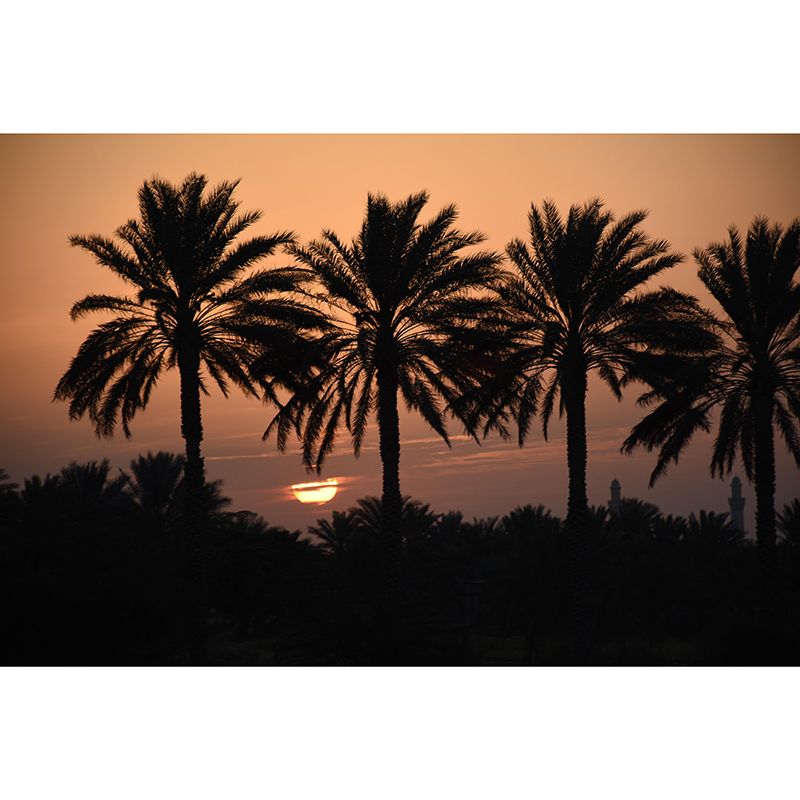 Tropical Landscape Resistant Mural Wallpaper Environment Friendly Sleeping Room Wall Mural