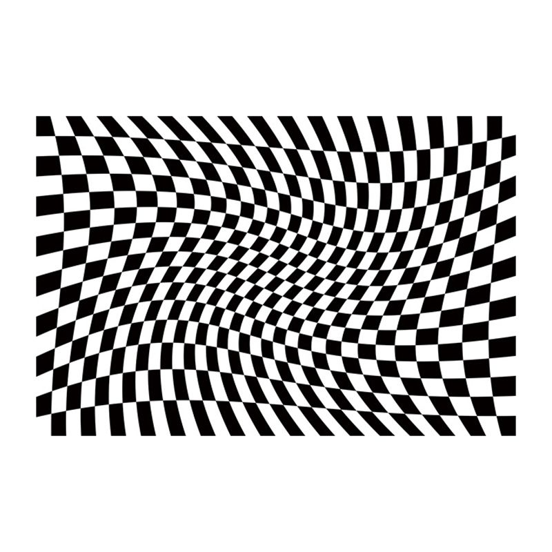 White Graphic Rug Polyester Modern Rug Non-Slip Backing Rug for Living Room