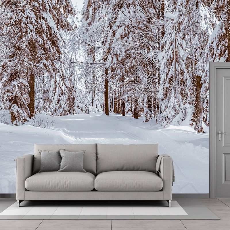 Photography Environment Friendly Mural Wallpaper Beautiful Forest Living Room Wall Mural