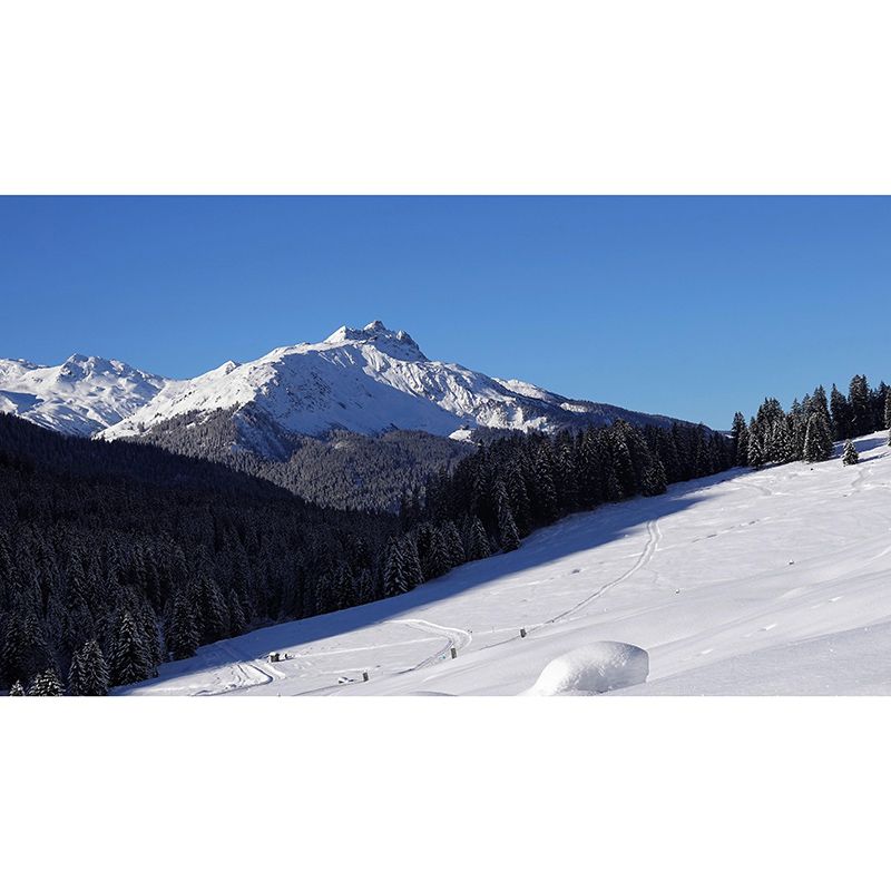 Mountain Landscapes Mural Wallpaper Mildew Resistant Living Room Decoration