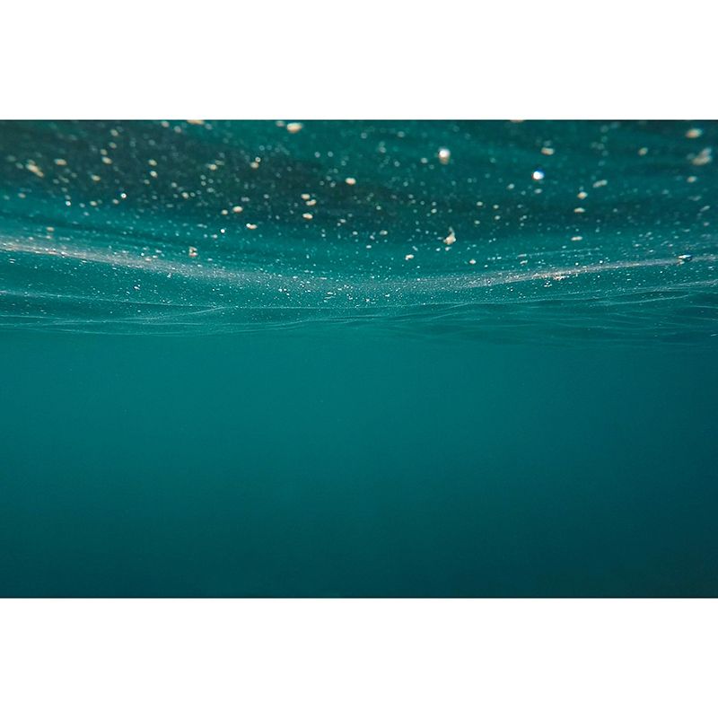 Modern Photography Mural Wallpaper Underwater Living Room Wall Mural